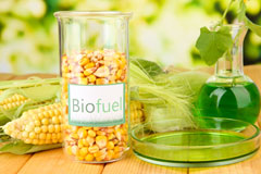 Little Salisbury biofuel availability